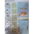 成為聖潔的選民-教學彩圖 2023年10-12月